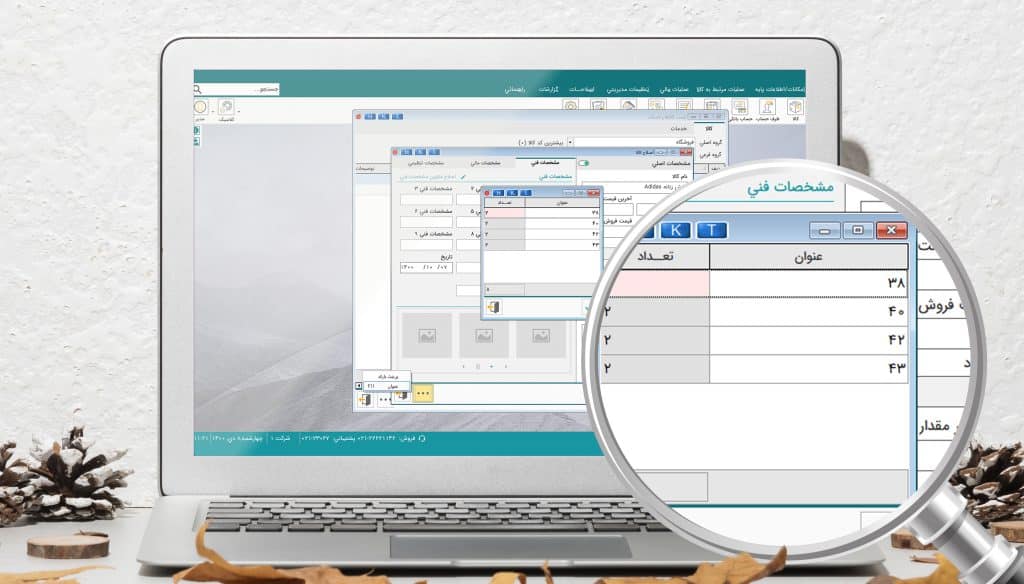 نرم افزار حسابداری کیف و کفش هلو