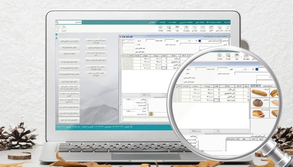 معرفی نرمافزار حسابداری هلو نان